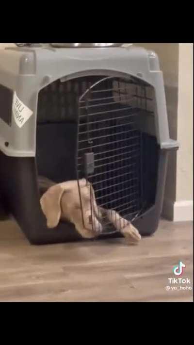 What’s wrong with this door?