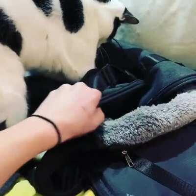 They’re even assholes to each other