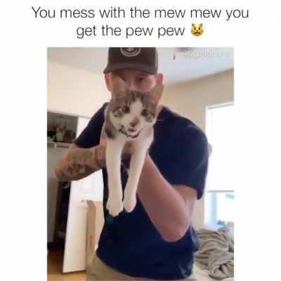Mew mew mew mew