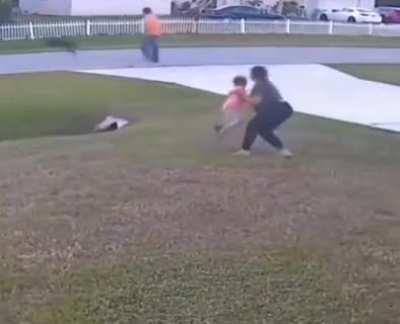 A dog protecting his little buddy from other dogs.