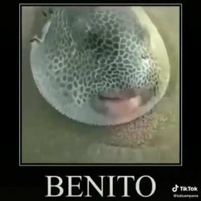 BENITO