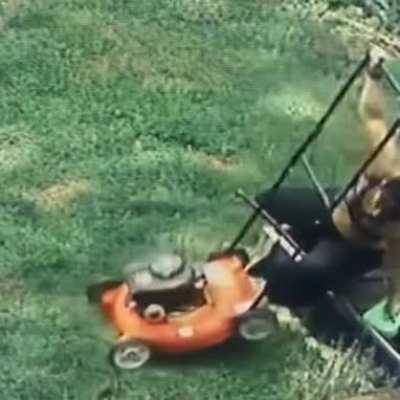 She was initially confident doing yard work, but the mower eventually exposed her Achilles' heel...