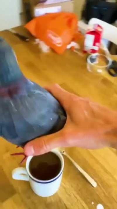 The cream for my coffee