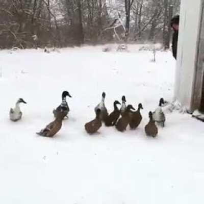 Ah, nem é tudo isso.