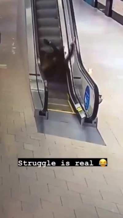 HMC while I go up the escalator.