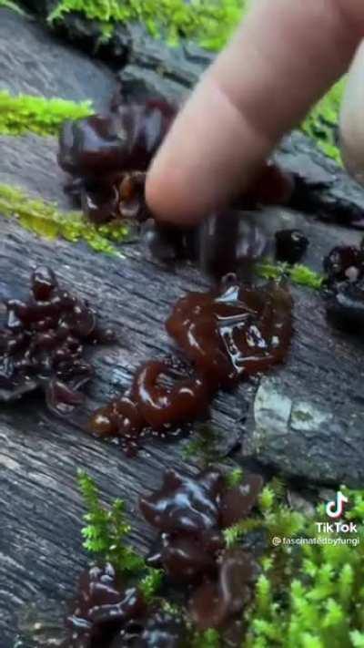 Thanks, i hate the ushy gushy mushy season