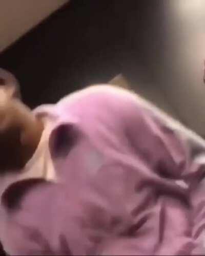 Let a nigg@ s@ndwich till he pass out