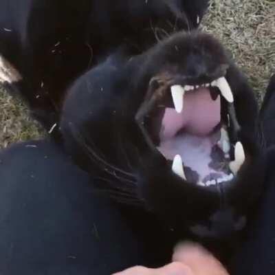 Who needs ten fingers anyway