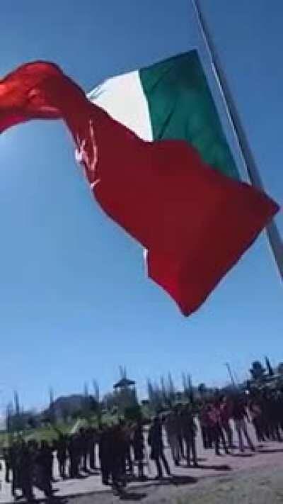 I hear a wilhelm scream.