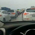 Guy gets out of car during a long traffic jam to pet a dog.