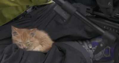 Выбрал себе человека