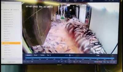 Leave it to salmon else