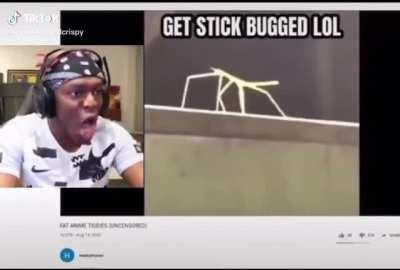 YES YES YES YES YES YES YES.... NO NO NO