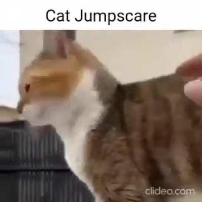 May contain sensitive content