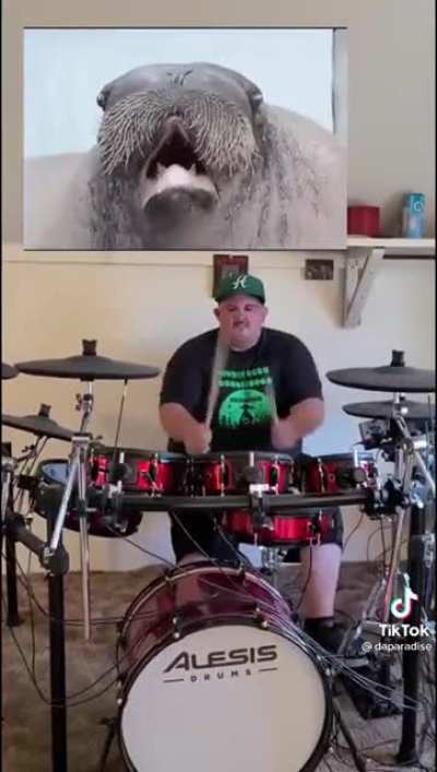 brutal 😎😎😎😎😎😎😎😎😎