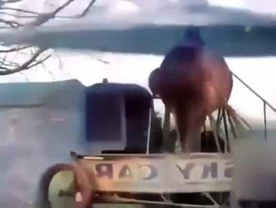 Helicopter car from 1929 (colorized).