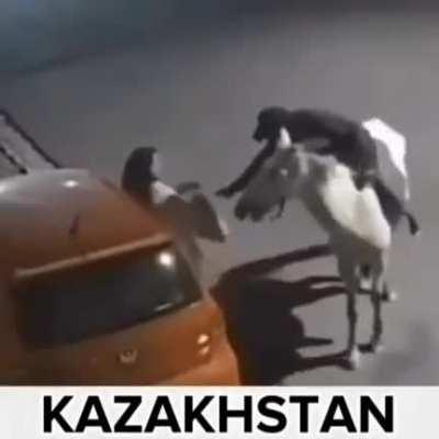 Kazakistan