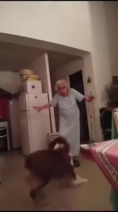 El perro la venció☠️☠️☠️