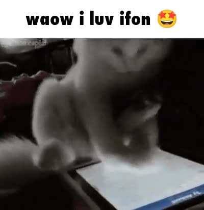 Wunk must consume brianrot