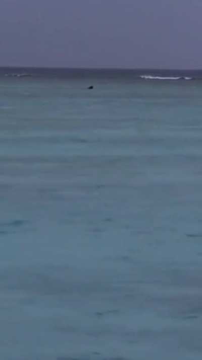 I have no idea what this is, can someone provide any explanation? 