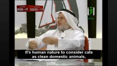 Thus, Mickey Mouse, the rodent, became a hero and superstar.