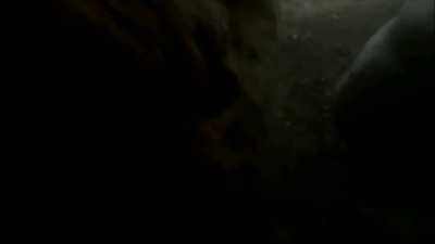 Soldiers of the 2nd Battalion of the International Legion suppressed Russian infantry positions in the Serebryansky forest and came under RPG fire. [Published May 2025]