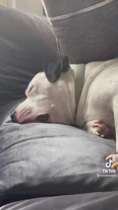 To cute not to share