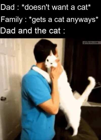 They're in love now.