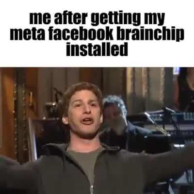 Meta Facebook Brainchip