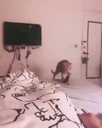 Since you refuse to get out of bed and feed me, I brought you breakfast in bed.