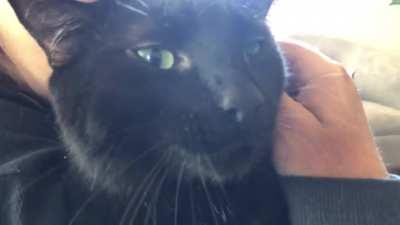 he love bites when you kiss him