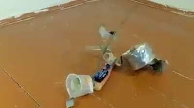 I think the twig is what does it for me!