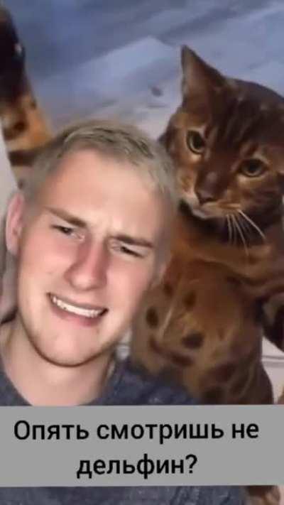 Small waist, pretty face