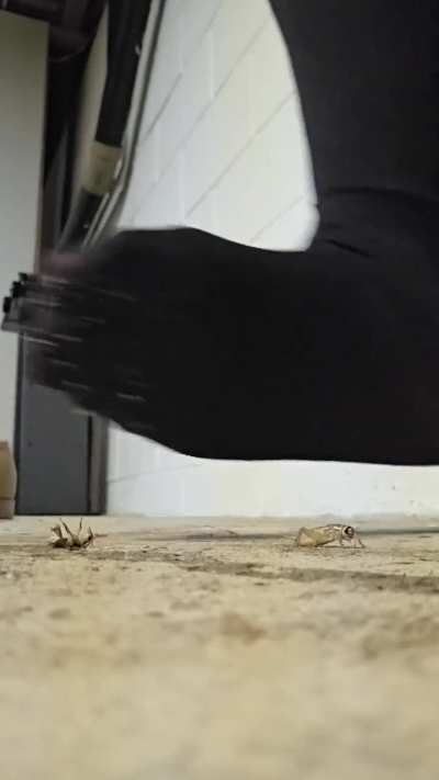 Got the black nylons out.