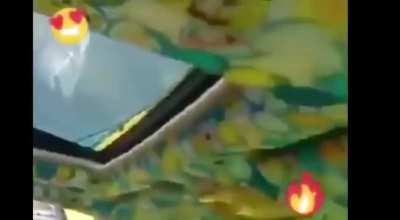 هل ستشاهد سبونج بوب معي؟ 