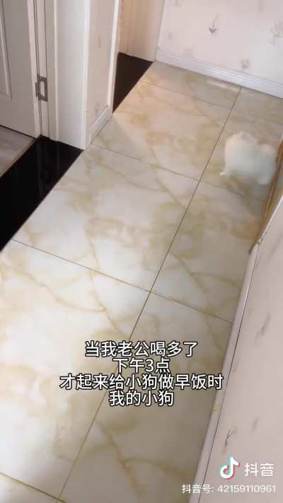 The chinese caption reads 