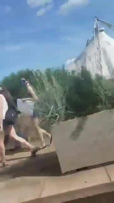 Aryan giants scream racial epithets at virgin peaceful protestors