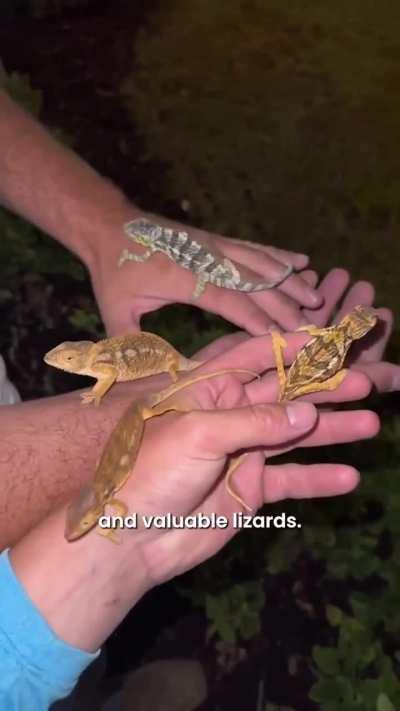 This dude with no fears 