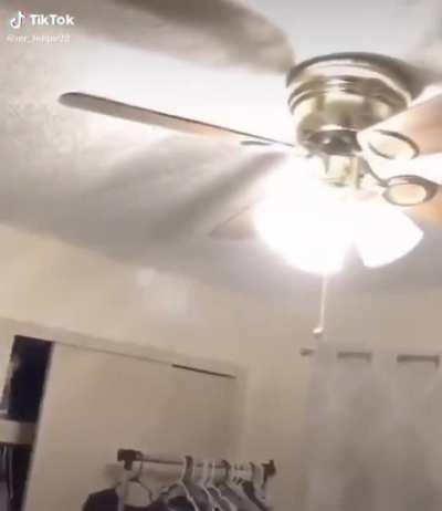 blursed_fan