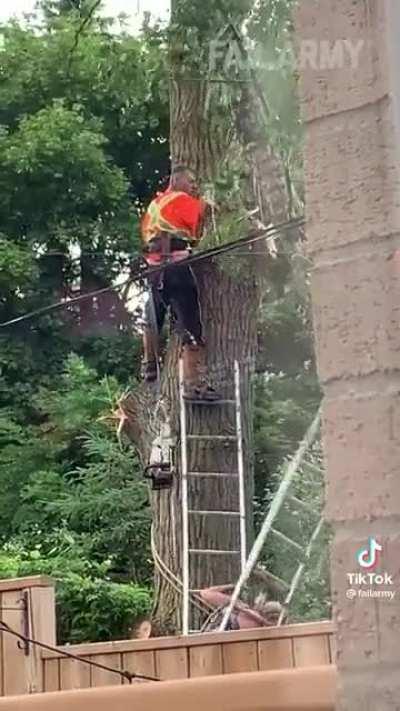 Cutting a tree and nearly getting smashed multiple times