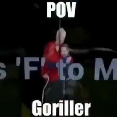 PUNTO DE VISTA GORILA