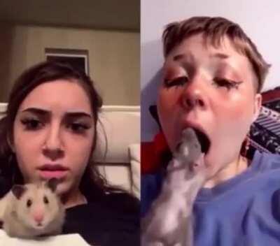 I have an itch on the roof of my mouth that only a shotgun can scratch