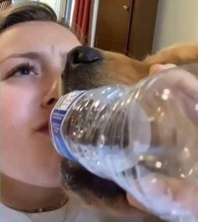 When no one trusts you to clean up after yourself...