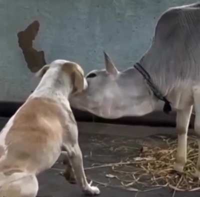 Ohhh yeah...that's the spot!