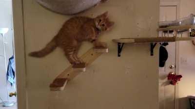 She just really felt the need to attack her toesies...