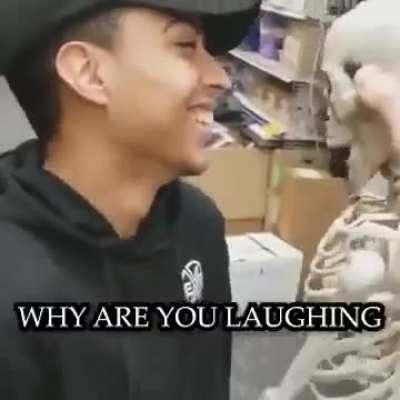 A skeleton tells a joke.