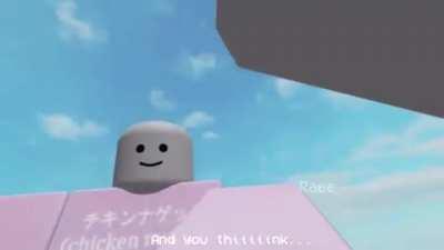 you hate roblois ?