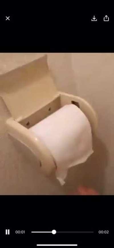 M1 garand but toilet paper