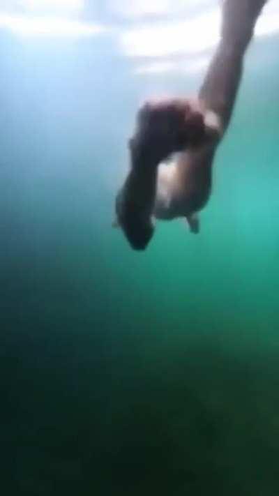 What a transition... and view