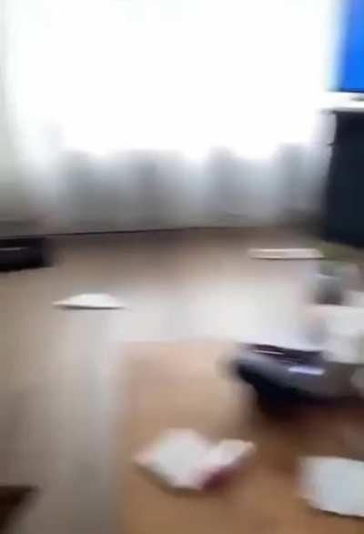 What are you doing on the kitty bed?